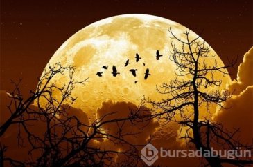 NASA açıkladı büyük gün 14 Kasım!