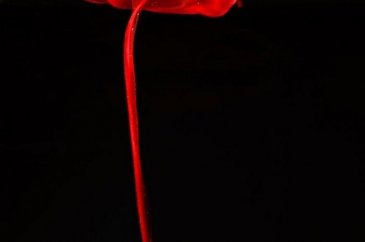 Regl kanıyla fotoğraf yaptı sanat eseri dedi!