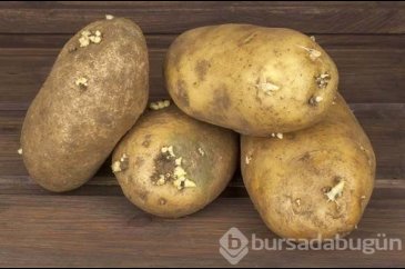 Patates hakkında ilk defa okuyacağınız 20 ilginç bilgi