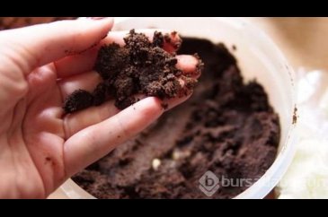 Kahve telvesinin günlük hayatımızdaki farklı kullanımları