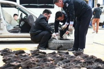 Polisleri şok eden baskınlar