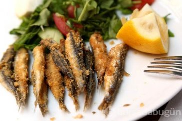 19 Aralık günün menüsü (Balık sofrası)