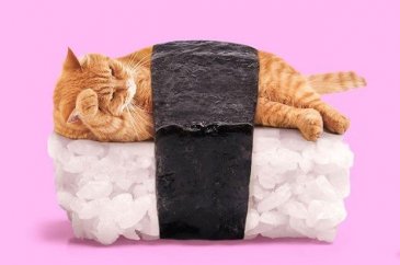 Gerçeküstü popart fotoğraflar