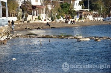Deniz çekilince ortaya çıktı