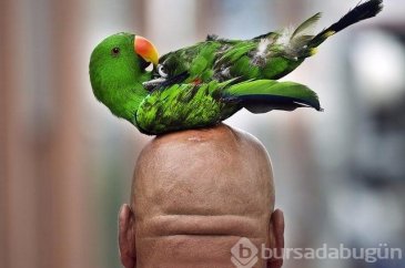 Dünyanın en ilginç fotoğrafları