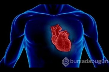  İnsan vücudu hakkında ilginç bilgiler