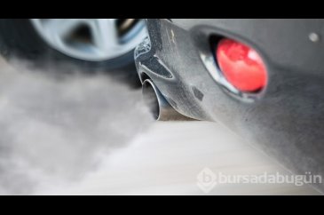 Egzoz gazı vücudumuza ne yapıyor?