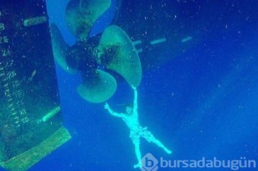 Su altının inanılmaz fotoğrafları