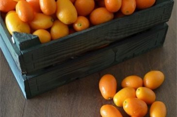 Kamkat meyvesinin faydaları nelerdir?
