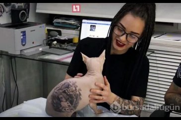 Kediye dövme yaptırdı, hayvanseverleri kızdırdı!