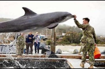 Tam zamanında çekilmiş 10 fotoğraf!