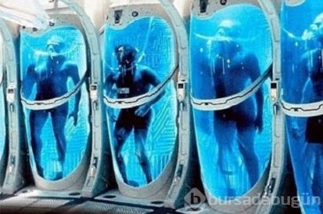 Buzlar içinde dirilmeyi bekliyorlar...