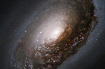 NASA: 20 yıl içinde uzaylılarla tanışacağız