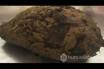 Hareket eden toprak görenleri şaşkınlığa uğrattı!