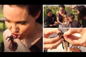Angelina Jolie örümcek yedi, çocuklarına da yedirdi!