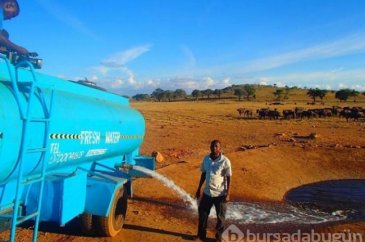 Kenya'da susuz hayvanlara su taşıyor işçi gözleri dolduruyor...