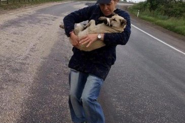 Tek başına 400 köpeğe bakıyor