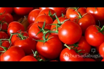 Domatesi sakın saklamayın!