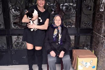 Hayvanseverler, veterinere savaş açtı