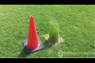 Görevini ciddiye almayanlardan trajikomik eserler!
