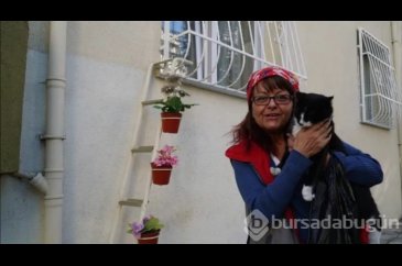 Sokak kedilerine merdiven uzattı...