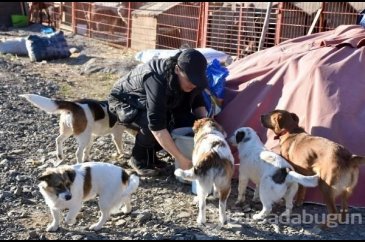 Engelli köpeklerin yaşadığı barınak yardımlarınızı bekliyor