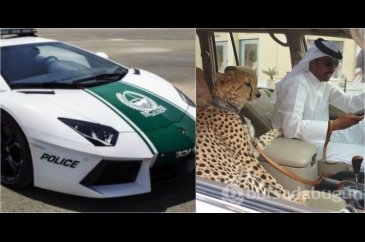 Sadece Dubai'de görebileceğiniz garip şeyler