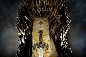 Bu da "Cats of Thrones"