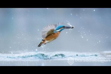 Genç fotoğrafçılardan 7 nefis fotoğraf