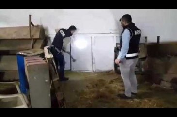 Duvar arkasındaki gizli bölmede 250 bin kaçak sigara bulundu