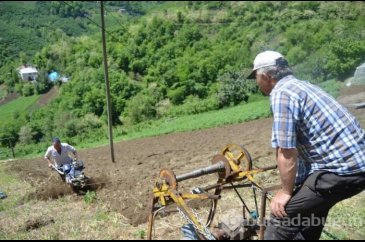 Yüzde 70 eğimli arazide tarım yaptılar