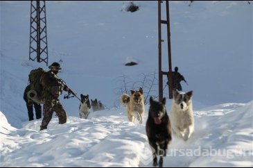 Terörle mücadelenin "özel" kahramanları