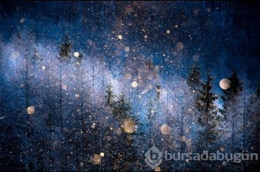 2017 Sony Dünya Fotoğrafçılık Yarışması'nda finale kalan fotoğraflar	