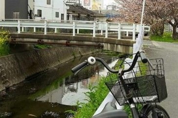 Japonya'ya hayran olmak için 16 sebep 
