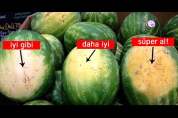 Mükemmel karpuzu seçmenin püf noktaları