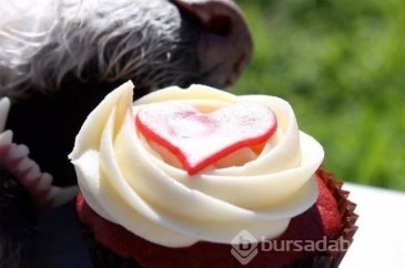 1 saniye sonrasını merak edeceksiniz!