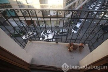 Evinin balkonunu sıkıldı değişime kendi bile inanamadı