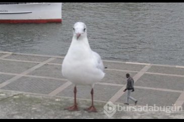 Dönüp tekrar bakmak isteyeceğiniz fotoğraflar