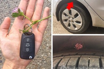Tatiliniz için hayat kurtaracak 12 ipucu