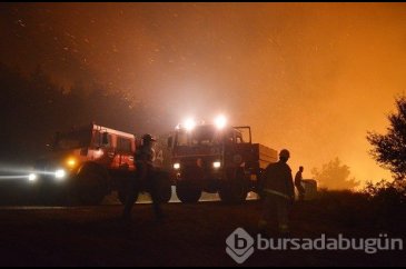 İzmir'de orman yangını