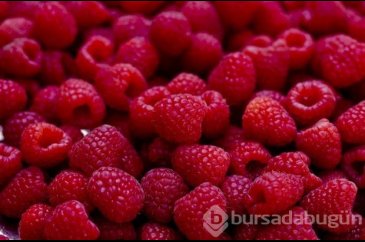 En sağlıklı 49 besin 