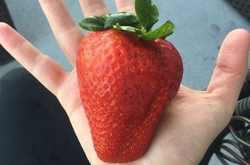Hayretle paylaştı böylesi zor bulunur 