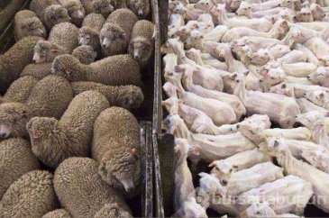 Günün en çok paylaşılan fotoğrafları