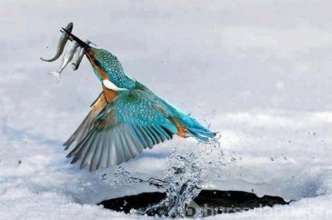 Zamanı durduran fotoğraflar