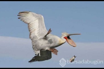 Günün en çok paylaşılan fotoğrafları