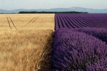 Bu fotoğraflarda photoshop yok!