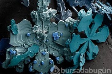 Gelin bir de bunlara mikroskopla bakın!