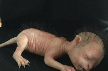 Bu fotoğraf sosyal medyayı salladı ancak