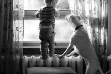 Barınaktan alınan köpeğin kalpleri ısıtan dostluğu