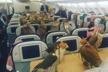 Uçak yolculuğunda yaşanan en garip olaylar